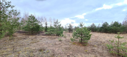 Parduodamas žemės ūkio paskirties sklypas Guobų g., Vilniaus m., Vilniaus m. sav., 50 a ploto 2