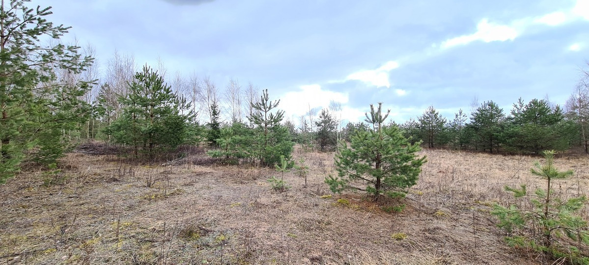 Parduodamas žemės ūkio paskirties sklypas Guobų g., Vilniaus m., Vilniaus m. sav., 50 a ploto 2