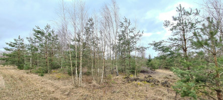 Parduodamas žemės ūkio paskirties sklypas Guobų g., Vilniaus m., Vilniaus m. sav., 50 a ploto 3