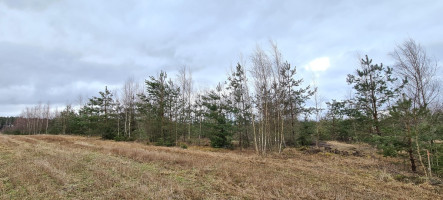 Parduodamas žemės ūkio paskirties sklypas Guobų g., Vilniaus m., Vilniaus m. sav., 50 a ploto 4