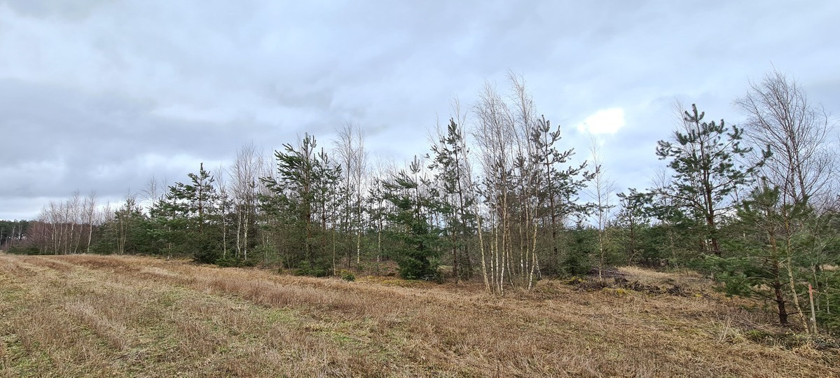 Parduodamas žemės ūkio paskirties sklypas Guobų g., Vilniaus m., Vilniaus m. sav., 50 a ploto 4