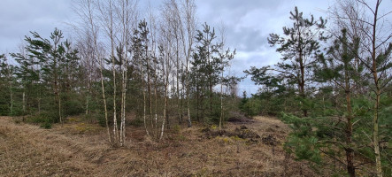 Parduodamas žemės ūkio paskirties sklypas Guobų g., Vilniaus m., Vilniaus m. sav., 50 a ploto 5