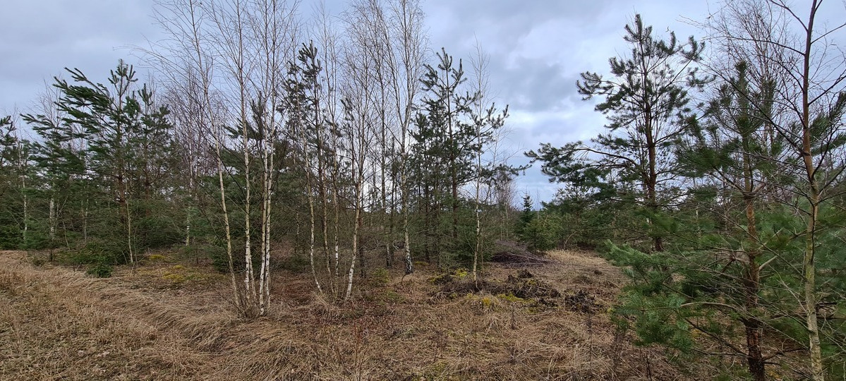 Parduodamas žemės ūkio paskirties sklypas Guobų g., Vilniaus m., Vilniaus m. sav., 50 a ploto 5