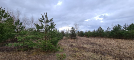 Parduodamas žemės ūkio paskirties sklypas Guobų g., Vilniaus m., Vilniaus m. sav., 100 a ploto 5