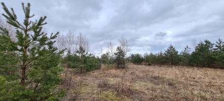 Parduodamas žemės ūkio paskirties sklypas Guobų g., Vilniaus m., Vilniaus m. sav., 100 a ploto 6