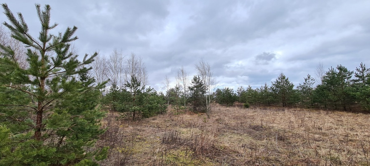 Parduodamas žemės ūkio paskirties sklypas Guobų g., Vilniaus m., Vilniaus m. sav., 100 a ploto 6