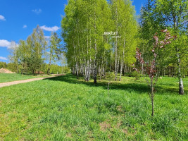 Parduodamas  sklypas Luokesos g., Alksniškių k., Molėtų r. sav., 13.49 a ploto 11