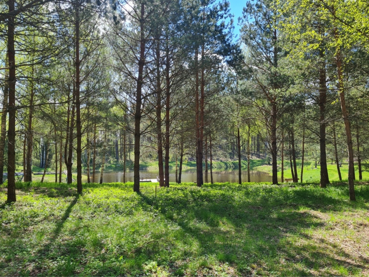 Parduodamas  sklypas Luokesos g., Alksniškių k., Molėtų r. sav., 13.49 a ploto 15