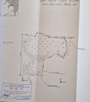 Parduodamas žemės ūkio paskirties sklypas Gegužės g., Grigaičių k., Vilniaus r. sav., 366.26 a ploto 11
