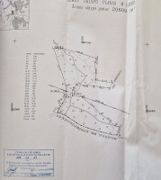 Parduodamas žemės ūkio paskirties sklypas Gegužės g., Grigaičių k., Vilniaus r. sav., 366.26 a ploto 18