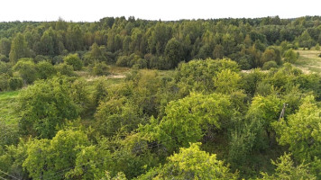 Parduodamas namas Algirdėnų k., Švenčionių r. sav., 63.57 m² ploto 2 kambariai 8