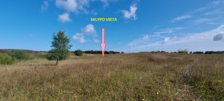 Parduodamas  sklypas Pašaltinio g., Bruzdeilyno k., Klaipėdos r. sav., 20.08 a ploto 8