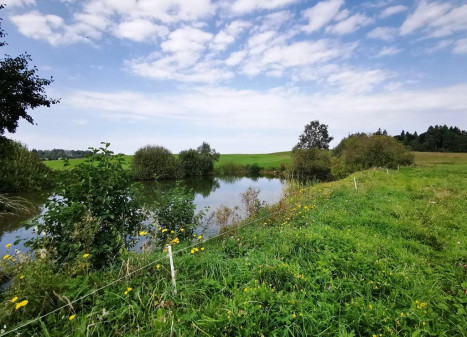 Parduodamas namas Šliavelių k., Molėtų r. sav., 92.81 m² ploto 3 kambariai
