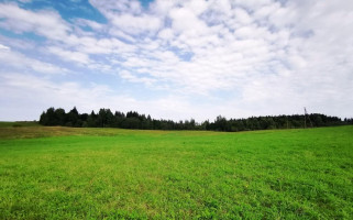 Parduodamas namas Šliavelių k., Molėtų r. sav., 92.81 m² ploto 3 kambariai 3