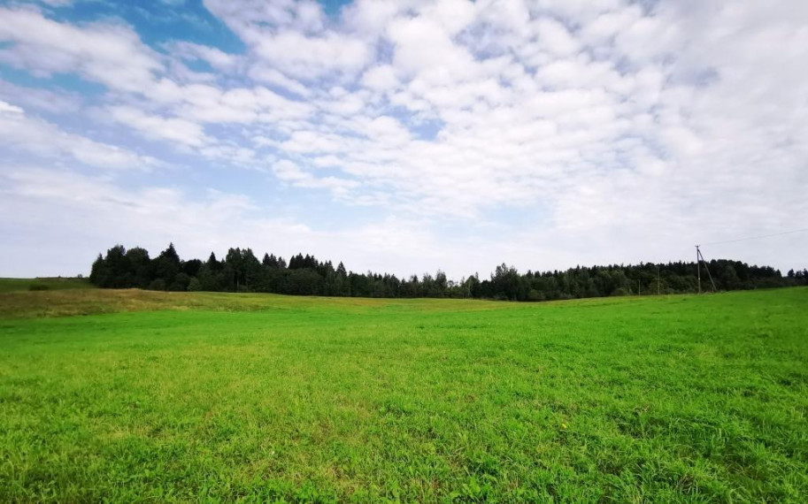Parduodamas namas Šliavelių k., Molėtų r. sav., 92.81 m² ploto 3 kambariai 3