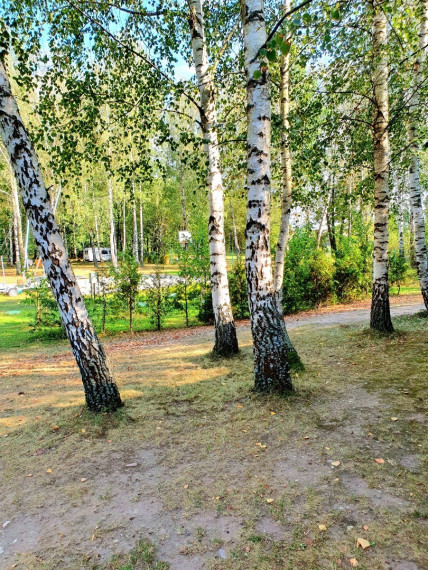 Nuomojamas namas Kempingo g., Centras, Marijampolės m., Marijampolės sav., 26 m2 ploto, 1 aukštai 8