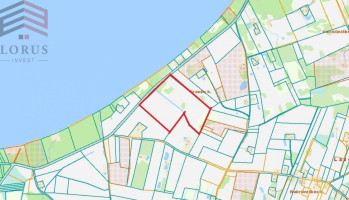 Parduodamas  sklypas Graužų k., Lazdijų r. sav., 1610 a ploto 1