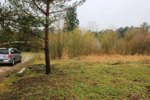 Parduodamas sklypas Klaipėdos, Panevėžio m., Panevėžio m. sav., 20.00 a ploto 5