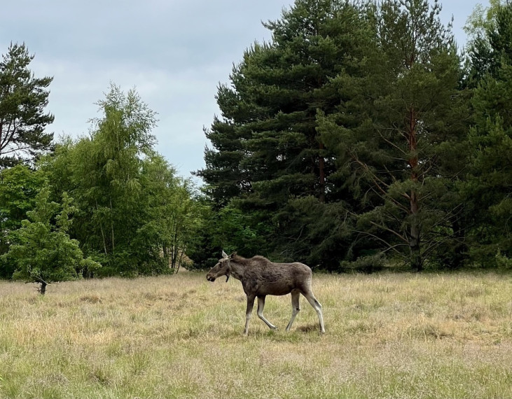 Parduodamas namas Kuršių tak., , Palangoje, 80 kv.m ploto 22