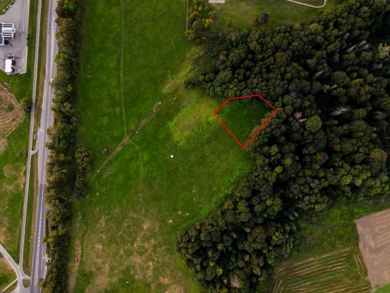 Parduodamas sklypas Pilies g., Birštono m., Birštono sav., 16.63 a ploto 3
