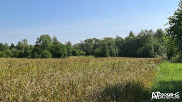 Parduodamas namas Bačiūnų g., Rėkyvos k., Šiaulių r. sav., 106.14 m² ploto 3 kambariai 30