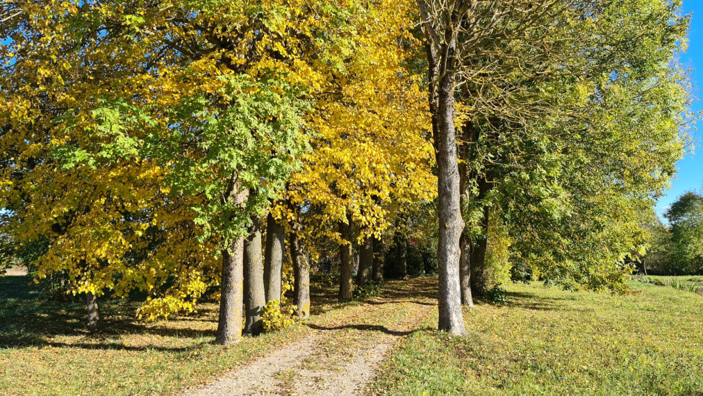 Parduodamas namas Bačiūnų g., Rėkyvos k., Šiaulių r. sav., 106.14 m² ploto 3 kambariai 1