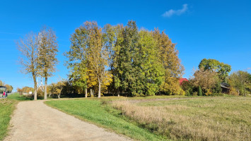 Parduodamas namas Bačiūnų g., Rėkyvos k., Šiaulių r. sav., 106.14 m² ploto 3 kambariai 39