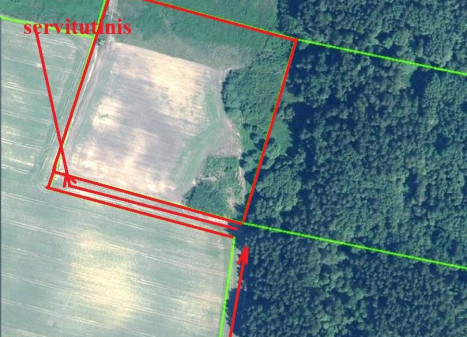 Parduodamas sklypas Žumbrickių k., Panevėžio r. sav., 200.00 a ploto