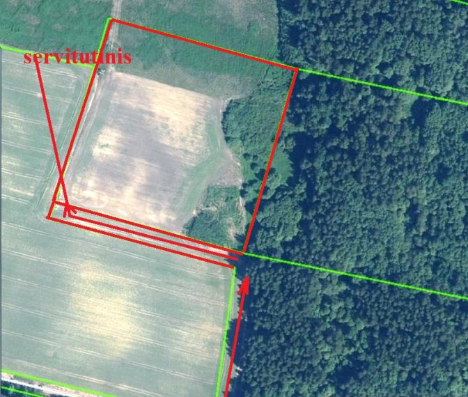 Parduodamas sklypas Žumbrickių k., Panevėžio r. sav., 200.00 a ploto 1