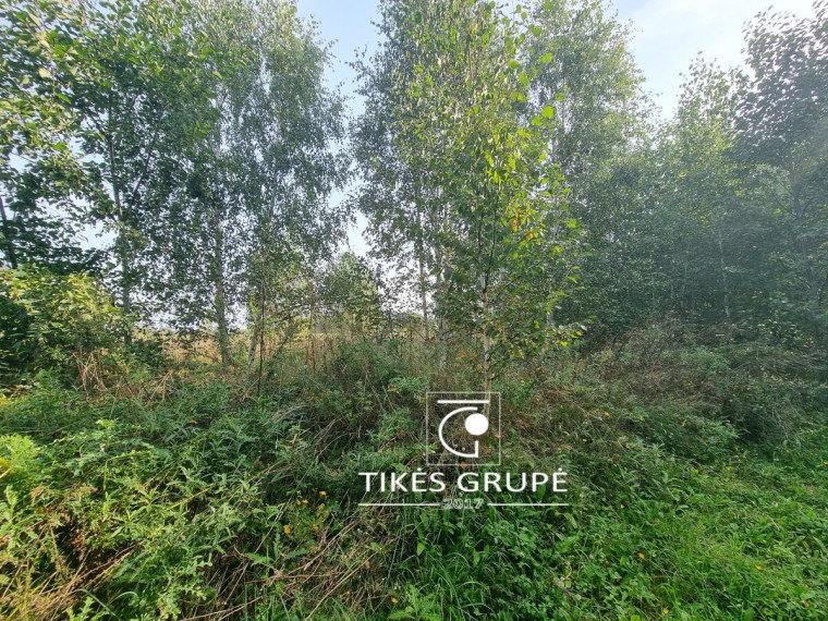 Parduodamas sklypas Šakinių k., Klaipėdos r. sav., 27 a ploto 6