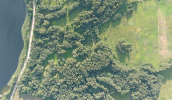 Parduodamas sklypas Tauragnų k., Utenos r. sav., 497 a ploto 3