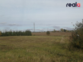 Parduodamas namų valdos sklypas Alytaus r., Užubalių k., 29 a 4