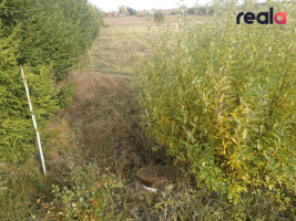 Parduodamas namų valdos sklypas Alytaus r., Užubalių k., 29 a 5