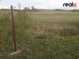 Parduodamas namų valdos sklypas Užubalių k., 34,2 a 5