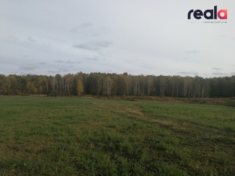 Parduodamas INVESTICINIS PROJEKTAS: 5,18 ha namų valdos sklypų masyvas Alytaus r., Užubalių k. (18 namų valdos sklypų) 3