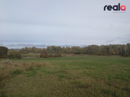 Parduodamas INVESTICINIS PROJEKTAS: 5,18 ha namų valdos sklypų masyvas Alytaus r., Užubalių k. (18 namų valdos sklypų) 4