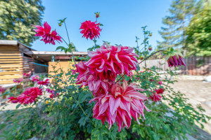 Parduodamas namas Santakos 1-oji g., Santakos k., Vilniaus r. sav., 85.79 m2 ploto, 1 aukštai 19
