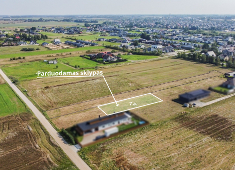 Parduodamas sklypas Pienių g., Vijolių k., Šiaulių r. sav., 7.00 a ploto