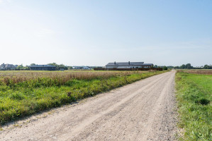 Parduodamas sklypas Vijolių k., Šiaulių r. sav., 7.00 a ploto 11
