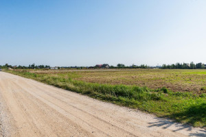 Parduodamas sklypas Vijolių k., Šiaulių r. sav., 7.00 a ploto 10