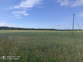 Parduodamas sklypas Barkelių k., Kretingos r. sav., 817 a ploto 10