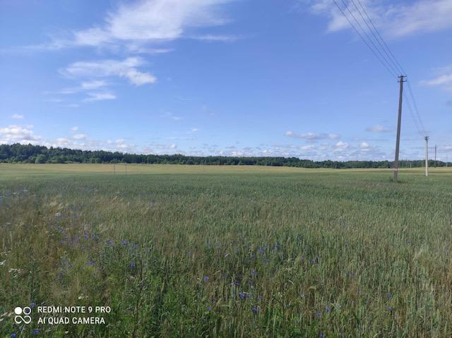 Parduodamas sklypas Barkelių k., Kretingos r. sav., 817 a ploto 10