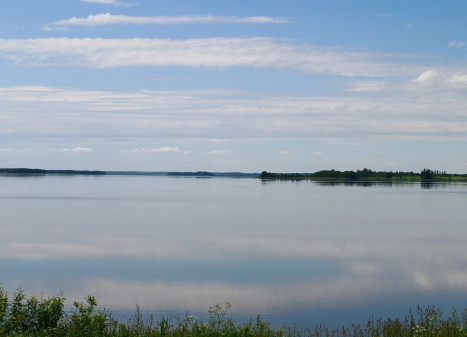 Parduodamas sklypas Ligūnų k., Ignalinos r. sav., 913.00 a ploto