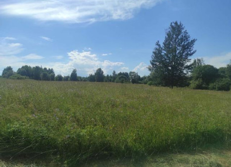 Parduodamas sklypas Lomenių k., Kaišiadorių r. sav., 142.00 a ploto