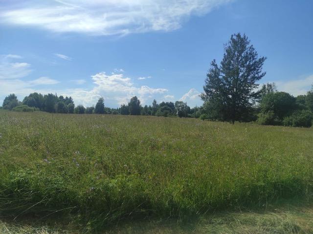 Parduodamas sklypas Lomenių k., Kaišiadorių r. sav., 142.00 a ploto 1