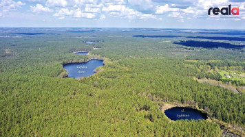 Parduodamas žemės sklypas 519 a ploto, prie nedidelio Lydekinio ežero, įeinančio į sklypo teritoriją. 1