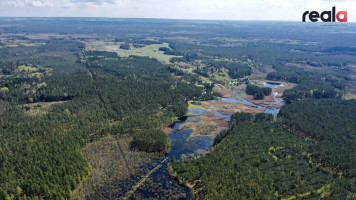 Parduodamas žemės sklypas 519 a ploto, prie nedidelio Lydekinio ežero, įeinančio į sklypo teritoriją. 7