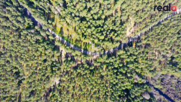 Parduodamas žemės sklypas 519 a ploto, prie nedidelio Lydekinio ežero, įeinančio į sklypo teritoriją. 12