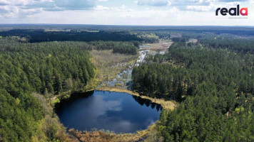 Parduodamas žemės sklypas 519 a ploto, prie nedidelio Lydekinio ežero, įeinančio į sklypo teritoriją. 15