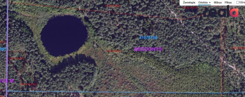 Parduodamas žemės sklypas 519 a ploto, prie nedidelio Lydekinio ežero, įeinančio į sklypo teritoriją. 16